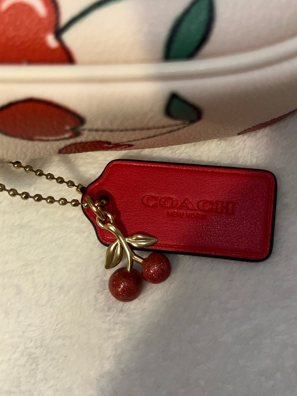 Coach Jamie Camera Bag with Heart Cherry Print - Picture 10 of 10